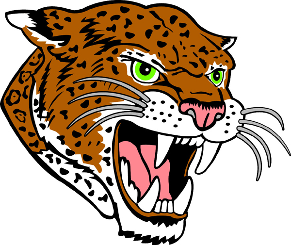 Leopard head mascot color sports sticker. Display school spirit! 